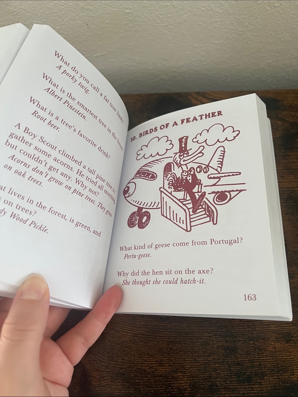 Little Giant Riddles Book Gift Kids - Picture 10 of 13